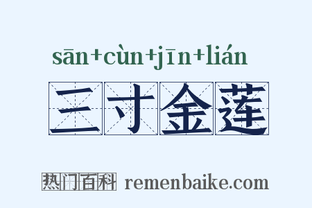 三寸金莲是什么意思的图片